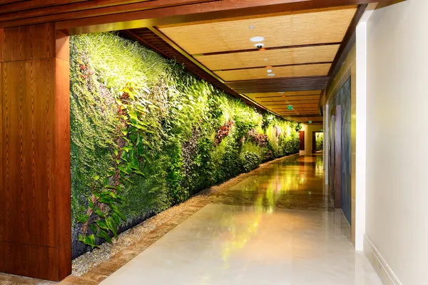 Interior del hotel de lujo en iluminación nocturna con pl verde — Foto de Stock