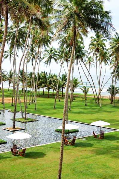 Poolen och stranden av lyxhotell, bentota, sri lanka — Stockfoto