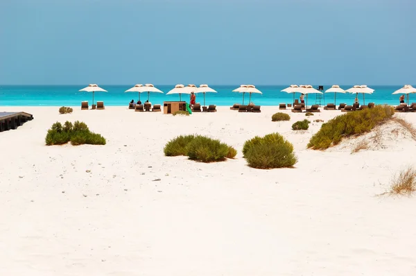Sunbeds and umbrellas at the Beach of luxury hotel, Abu Dhabi, U — Stock Photo, Image