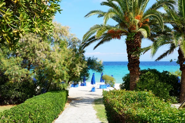 Camino a la playa de hotel de lujo, Halkidiki, Grecia — Foto de Stock