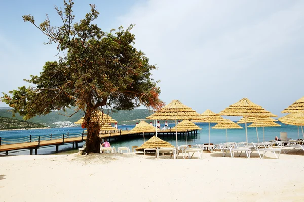 La plage de sable blanc à l'hôtel de luxe, Bodrum, Turquie — Photo