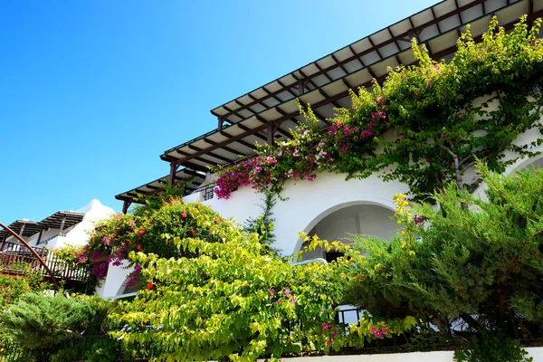 Building of the luxury hotel decorated with flowers, Bodrum, Tur — Stock Photo, Image