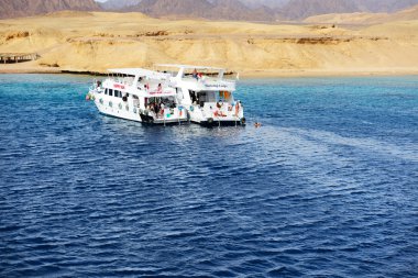 Sharm el sheikh, Mısır - 4 Aralık: dalış turistler ve mo