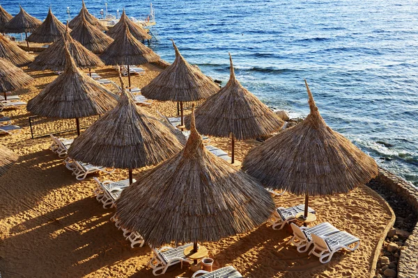 Spiaggia dell'hotel di lusso, Sharm el Sheikh, Egitto — Foto Stock