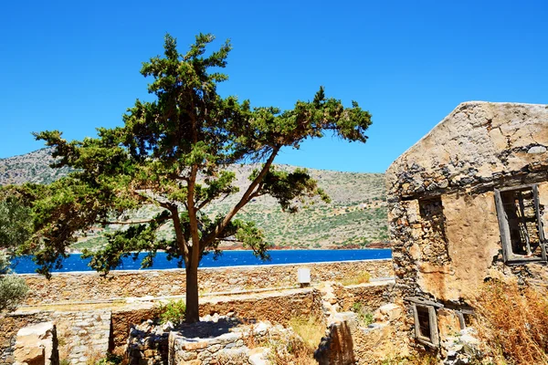Budynek i drzewa na spinalonga wyspy, Kreta, Grecja — Zdjęcie stockowe