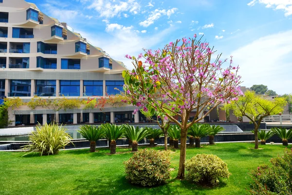 Ο χορτοτάπητας με την ανθοφορία δέντρο και κτίριο πολυτελούς ξενοδοχείου, antaly — Φωτογραφία Αρχείου