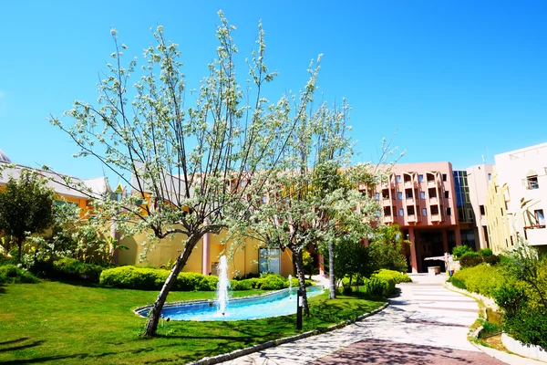 L'albero e la costruzione di hotel di lusso, Antalya, Turchia — Foto Stock