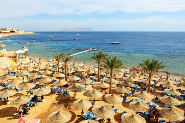 Sharm el sheikh, Mısır - 30 Kasım: turist üzerinde vacat vardır