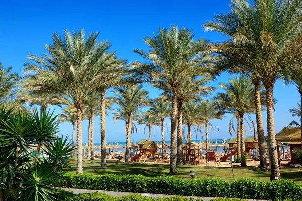 Beach Luxury Hotel Palm Trees Sharm Sheikh Egypt — Stock Photo, Image