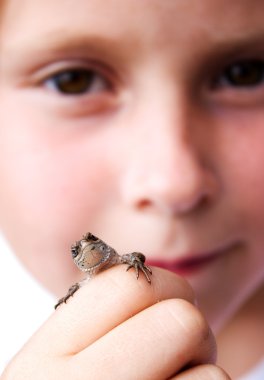 Child holds a lizard in his hand. clipart