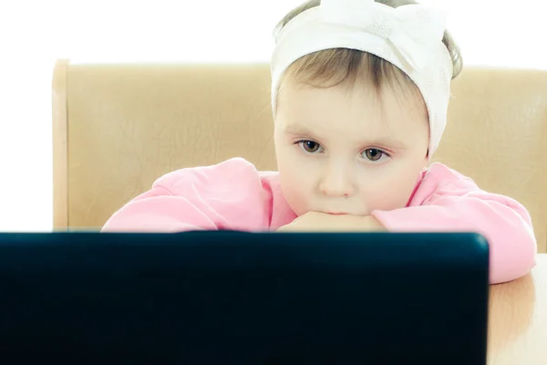 Cute baby looking into the laptop — Stock Photo, Image