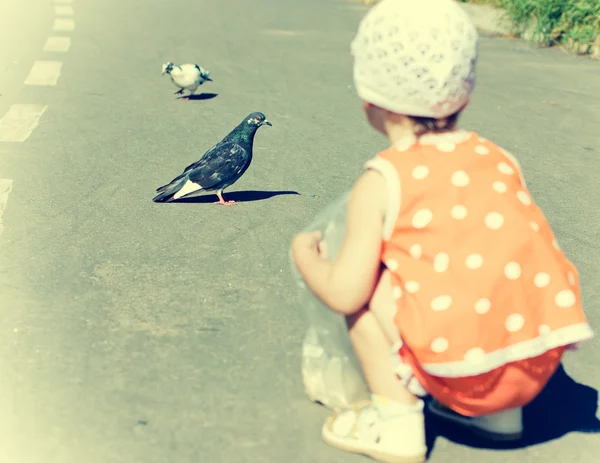 Malá holčička, krmení holubů. — Stock fotografie