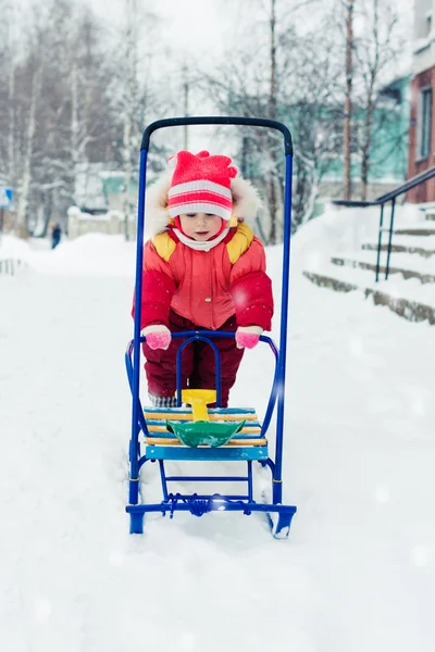 孩子滑雪橇. — 图库照片