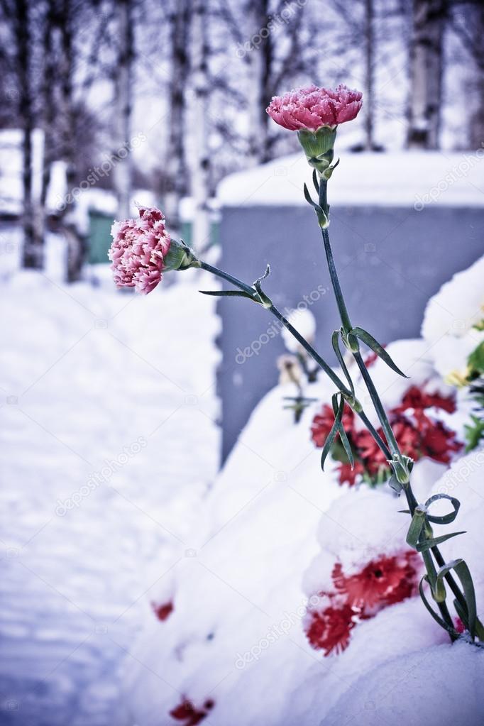 Fresh flowers on the grave
