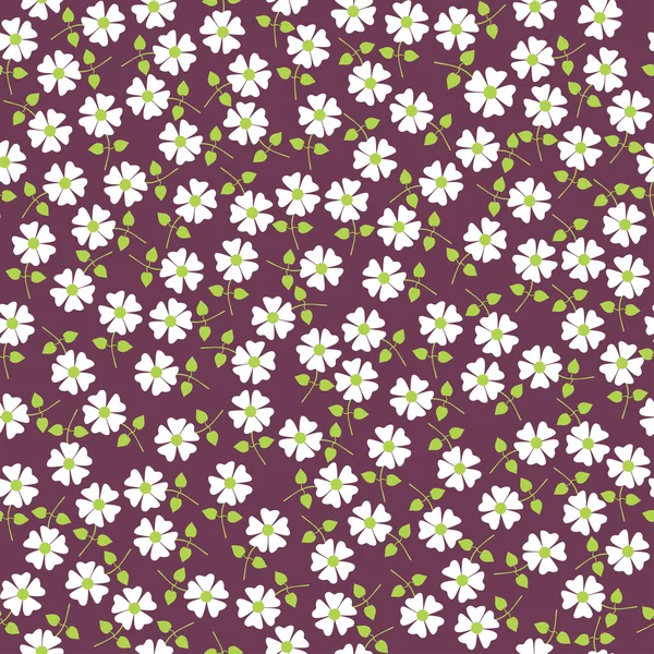 Seamless floral pattern. Flowers texture. Daisy — Stock Vector