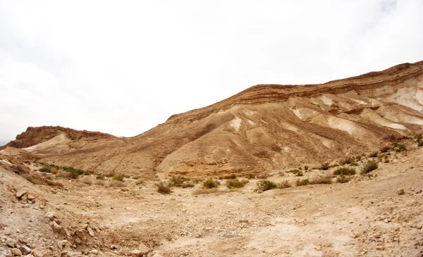 Fortaleza Massada en Israel cerca del Mar Muerto — Foto de Stock