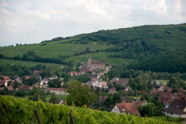 Alsace Peyzaj ve vinewyard