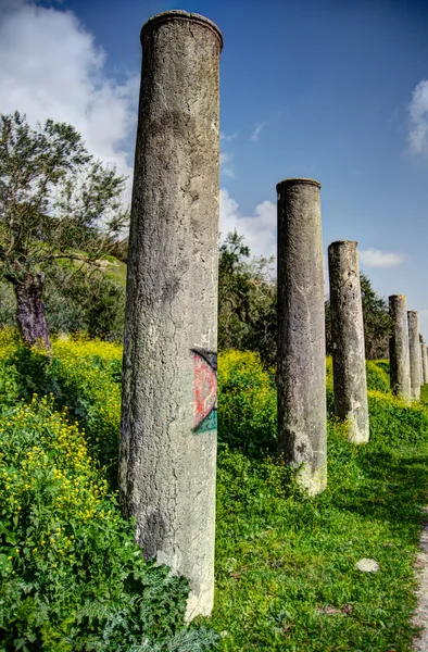 Sebastia Archeologie oude ruïnes — Stockfoto