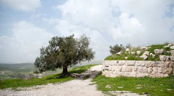 Sıvas Arkeoloji antik kalıntılar — Stok fotoğraf