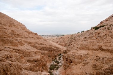 Musevi taş çöldeki hiking