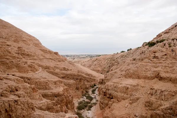 Hiking in judean stone desert — Stock Photo, Image