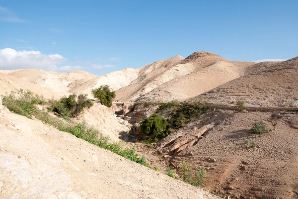 Hiking in judean desert — Stock Photo, Image