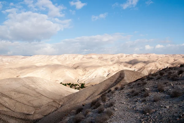 Wandelen in judean desert — Stockfoto