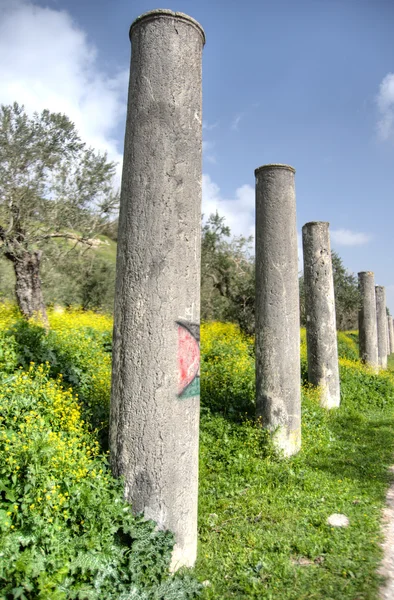 Antické ruiny sebastia archeologie — Stock fotografie