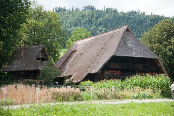 Het openluchtmuseum van Black Forest — Stockfoto