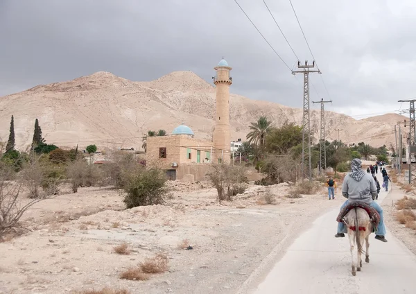 Gerico nel deserto giudeo — Foto Stock