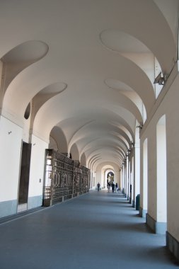 Turin sokakları at sabah