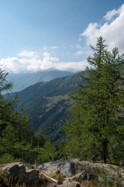 Doğal Parkı İtalya'da yürüyüş