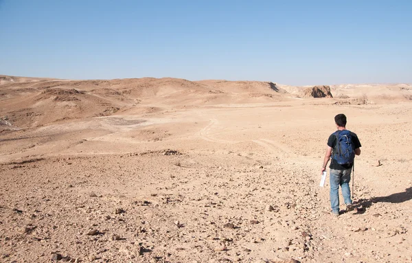 Touristes dans le désert judéen — Photo