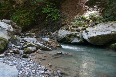 şelale ve ormandaki nehir