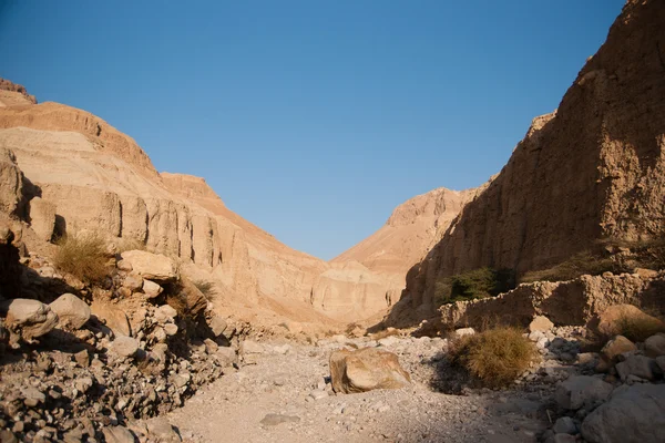 Góry kamienne pustynia nead Morze Martwe — Zdjęcie stockowe