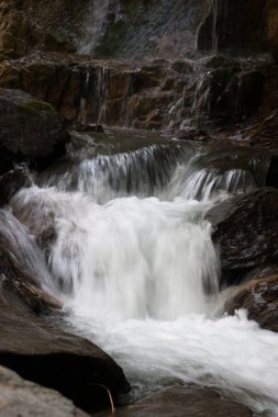 şelale ve ormandaki nehir