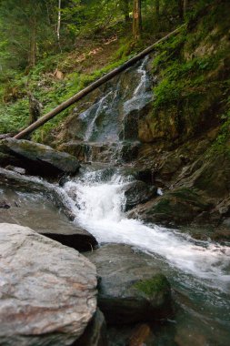 şelale ve ormandaki nehir