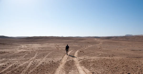Tourists in judean desert — Stock Photo, Image
