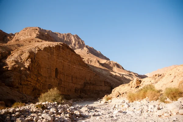Montañas en piedra desierto nead Mar Muerto — Foto de Stock
