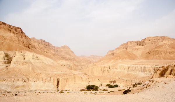 Tourists Hiking In Dead Sea Mountains — Stock Photo, Image