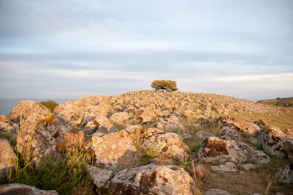 Galile manzarası — Stok fotoğraf