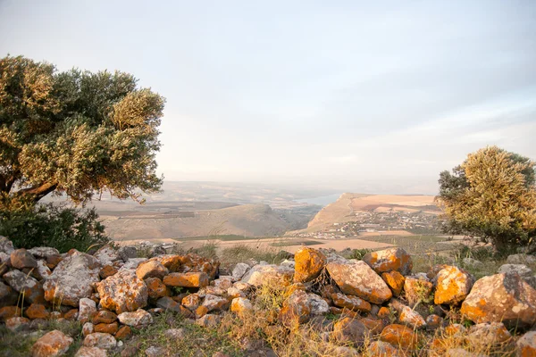 Paisagem de galilee — Fotografia de Stock