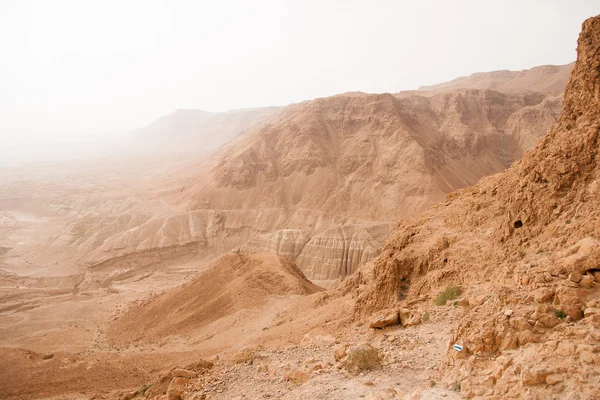 Sten judeiska öknen nära döda havet — Stockfoto