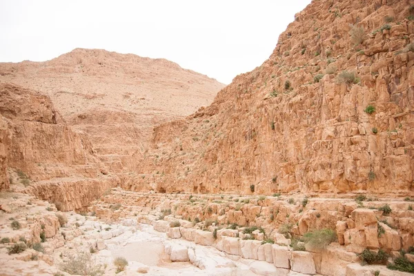 Montagnes dans le désert de pierre nead Mer Morte — Photo