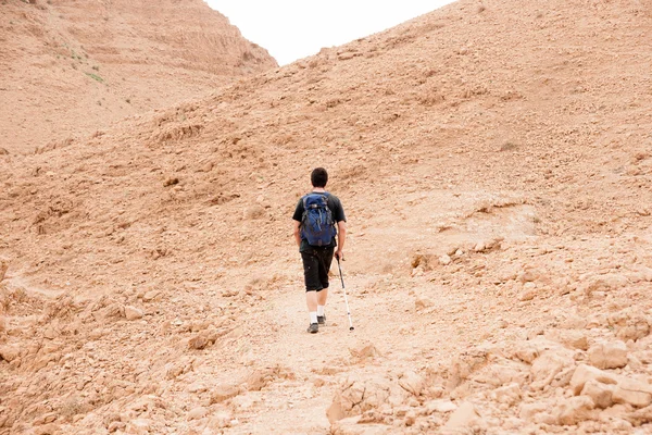 Cañón del Desierto en Israel Atracción turística del Mar Muerto — Foto de Stock
