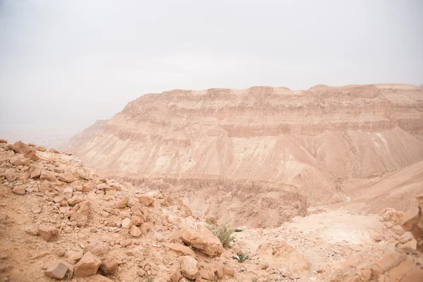 Пустелі Каньйон в Ізраїлі Мертвого моря подорожувати тяжіння для туристів — стокове фото