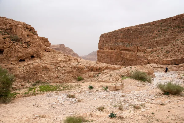 Ryzykowne przedsięwzięcie Podróżować w kamiennej pustyni z Bliskiego Wschodu — Zdjęcie stockowe