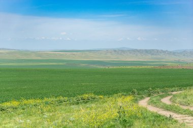 Gürcistan 'da çevre turizmi