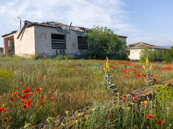 Senderismo Primavera Georgia Región Kahetia Naturaleza Los Campos — Foto de Stock