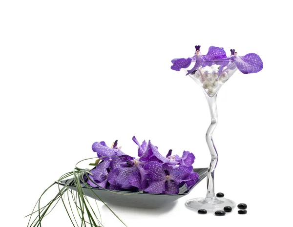 Fiori del vanda del Orchid con il vetro da vino — Foto Stock